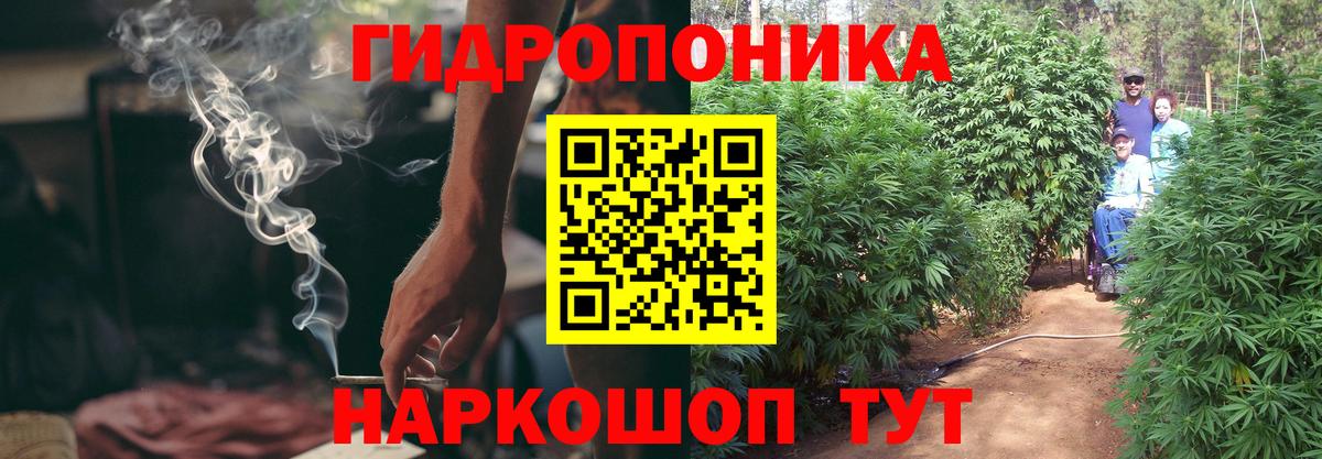 Каннабис семена  Бошки Шишки LSD WEED  Вход с VPN  Кизилюрт  Канабис White Widow 